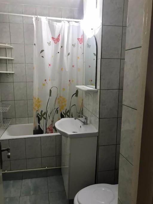 Apartament Confortabil Пітешть Екстер'єр фото